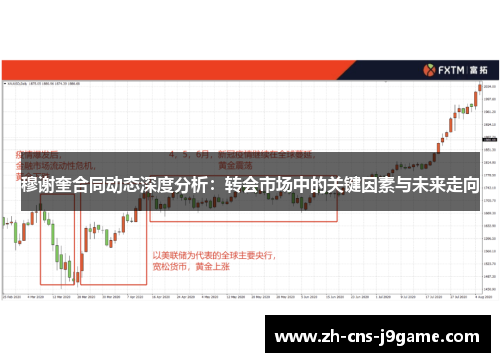 穆谢奎合同动态深度分析：转会市场中的关键因素与未来走向
